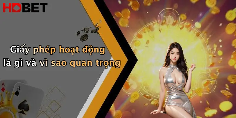 Giấy phép hoạt động là gì và vì sao quan trọng