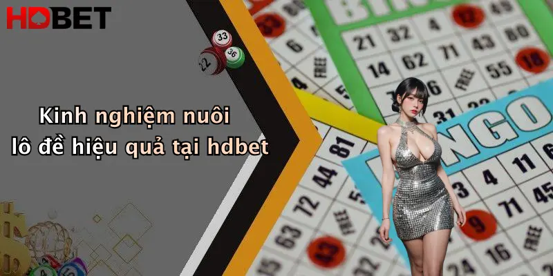 Kinh nghiệm nuôi lô đề hiệu quả tại hdbet