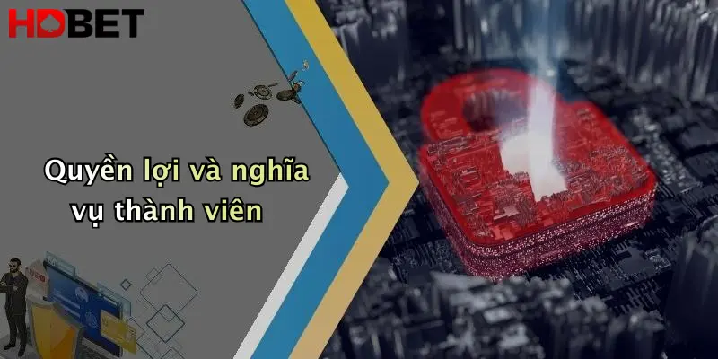 Quyền lợi và nghĩa vụ thành viên